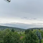 Vízipók *