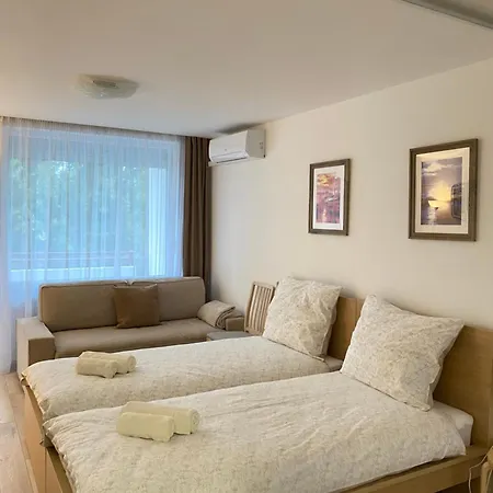 Vizipok * チョパク