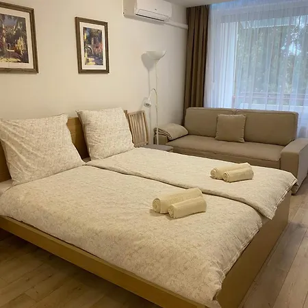 Apartamento Vízipók *