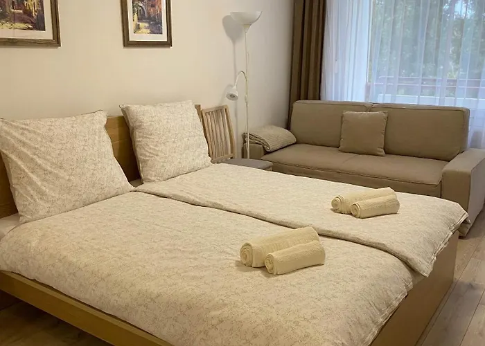 Апартаменты Vizipok *